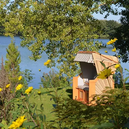 Reetdachkate Auf Gestuet Schierensee Grebin