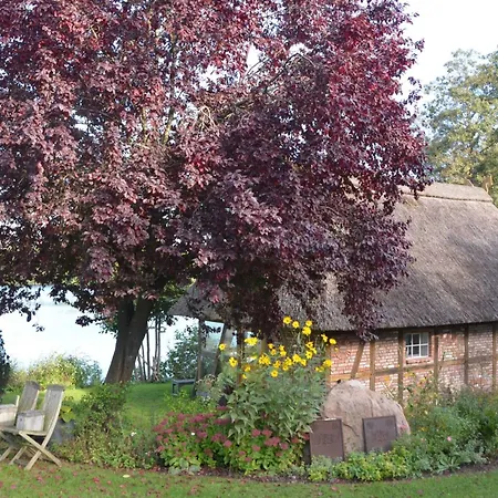 Holiday home Reetdachkate Auf Gestuet Schierensee